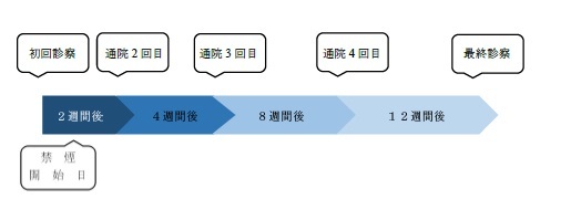 禁煙外来の流れ